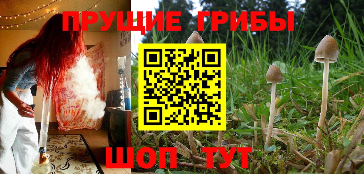 Куйбышев  Галлюциногенные грибы ЛСД  Вход с VPN 