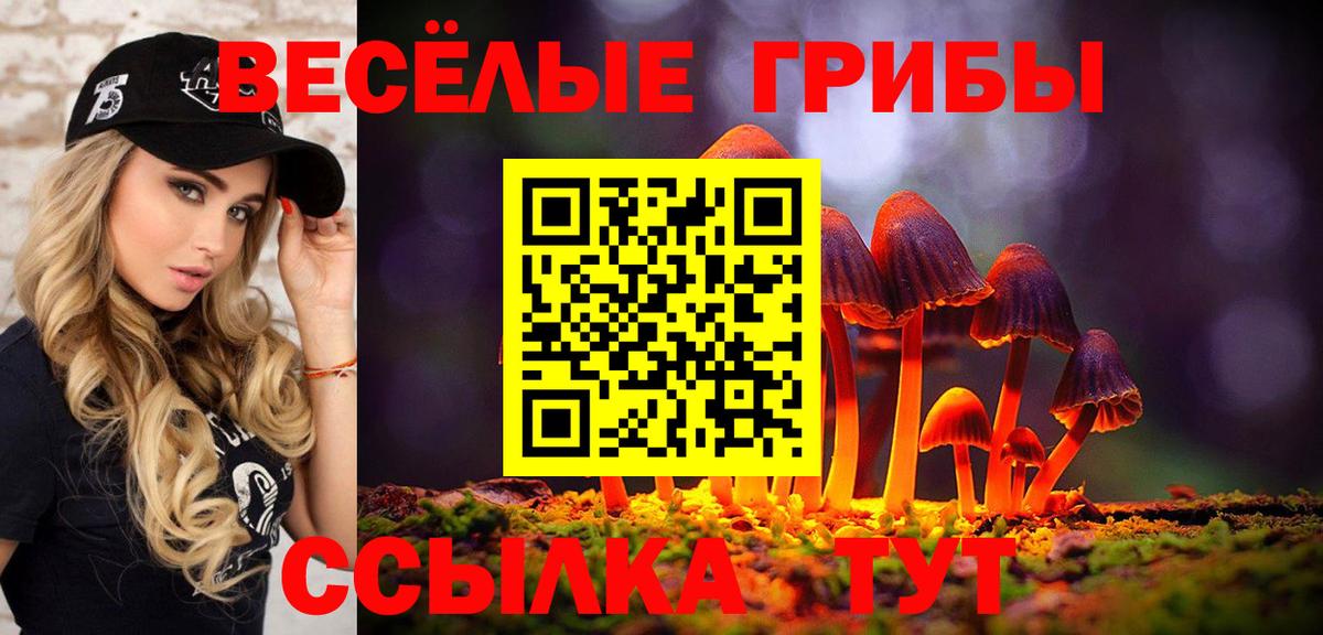 Псилоцибиновые грибы Psilocybe Куйбышев